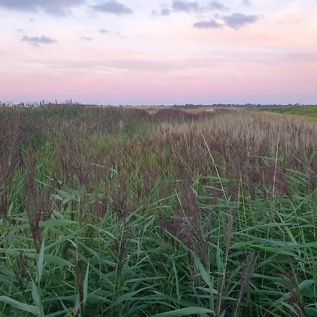 Hébergement de vacances Bright Family By Kelstrup